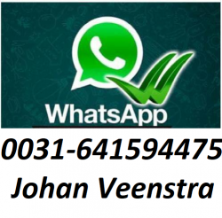 whatsapp klein